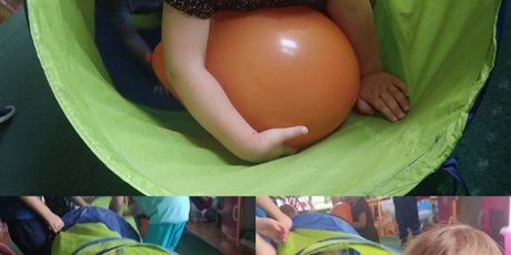 Motylki