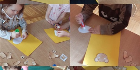 Motylki
