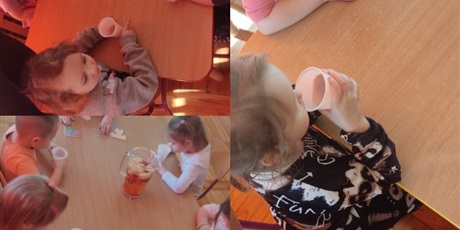 Motylki
