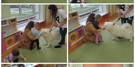 Motylki