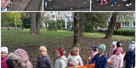 Motylki