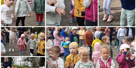 Motylki
