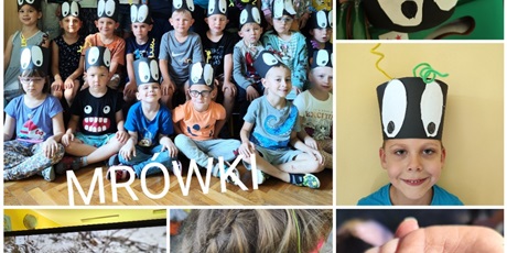 Mrówki