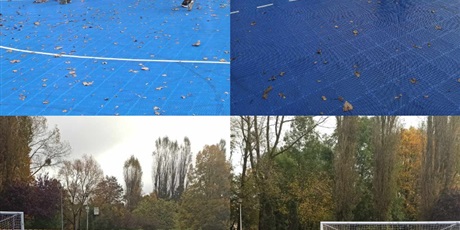 Pszczółki